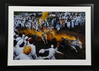 Roland et Sabrina MICHAUD - Course de chars à bœufs à Bhosari, Mahārāshtra. Inde 1994 - 2